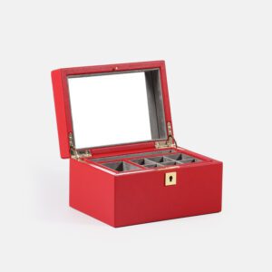 Large Jewelry Case
