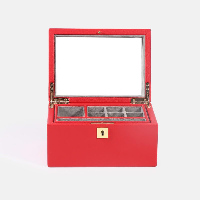 Large Jewelry Case