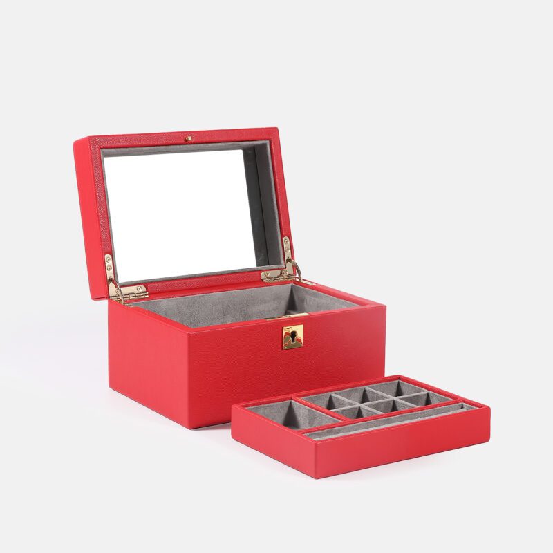 Large Jewelry Case