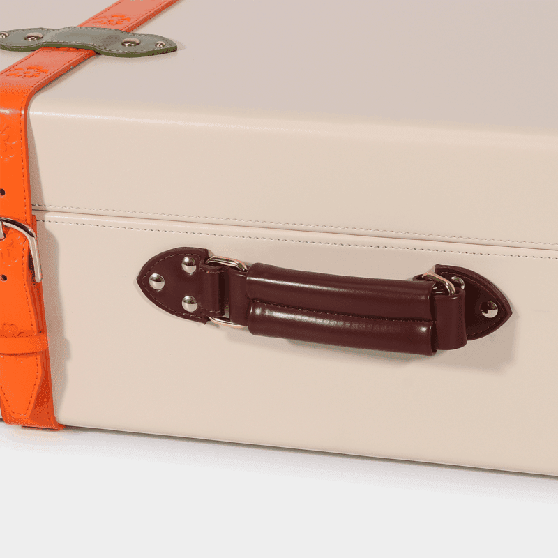 Meduim Colorful Hand Carry Case