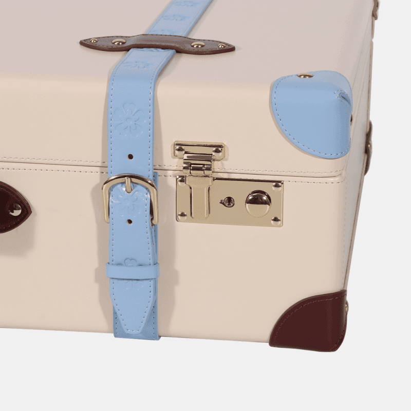 Meduim Colorful Hand Carry Case