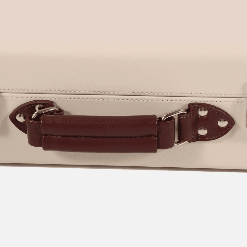 Mini Colorful Hand Carry Case