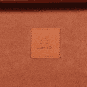 Orange Hand Carry Case