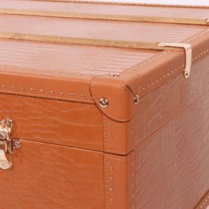 Orange Hand Carry Case