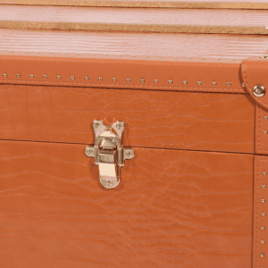 Orange Hand Carry Case