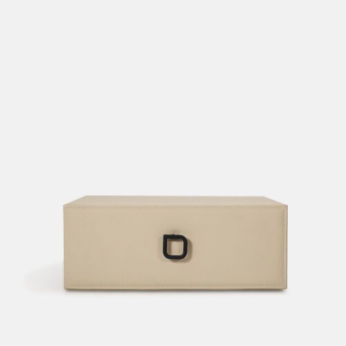 White Safe Case in Cabinet