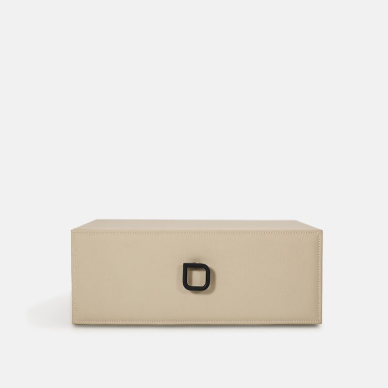 White Safe Case in Cabinet