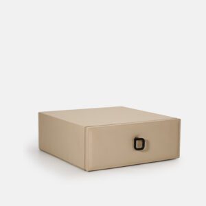 White Safe Case in Cabinet