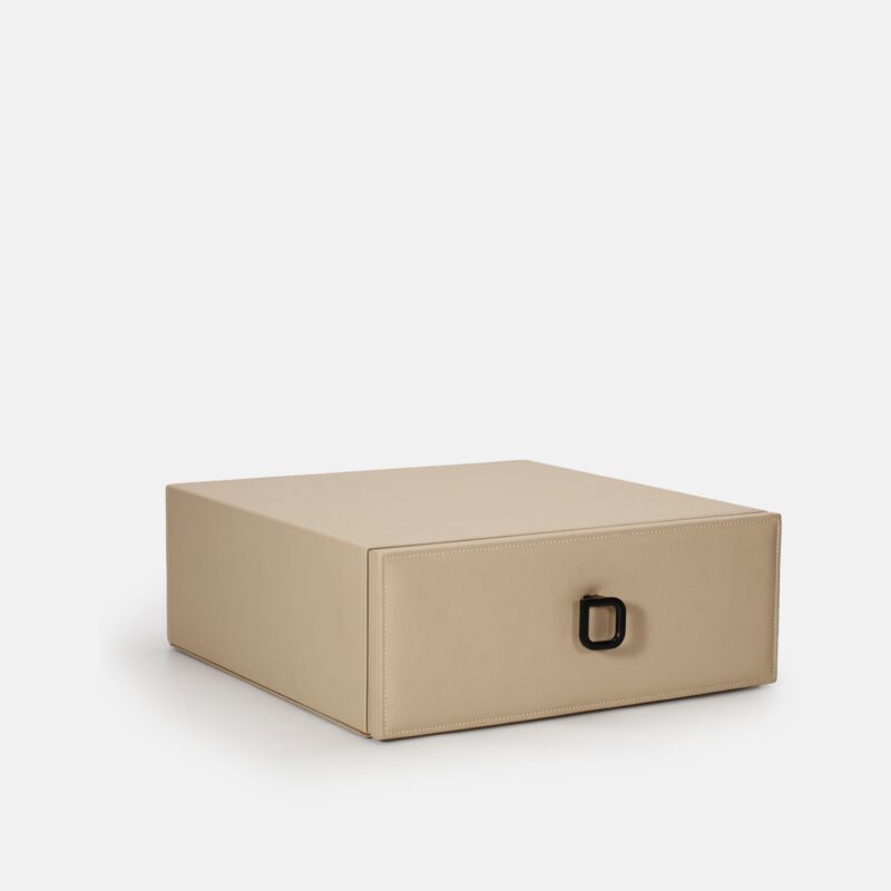 White Safe Case in Cabinet