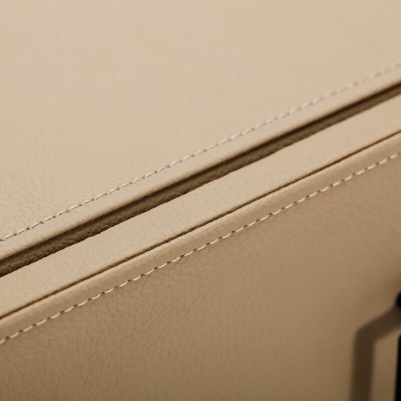 White Safe Case in Cabinet