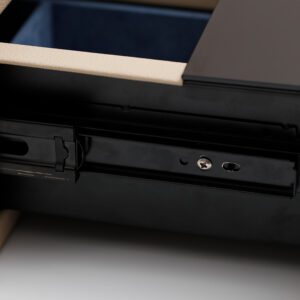 White Safe Case in Cabinet