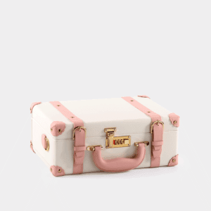 Pink Hand Carry Case