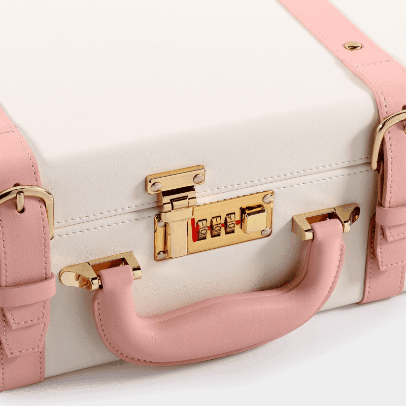 Pink Hand Carry Case