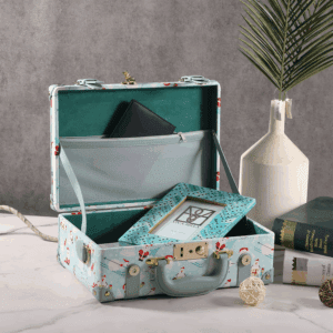 Blue Hand Carry Case