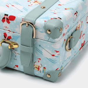 Blue Hand Carry Case