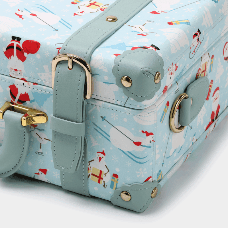 Blue Hand Carry Case