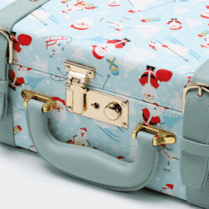 Blue Hand Carry Case