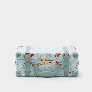 Blue Hand Carry Case