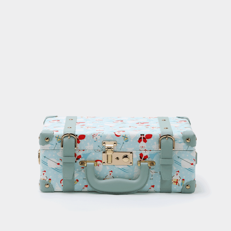 Blue Hand Carry Case