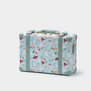 Blue Hand Carry Case