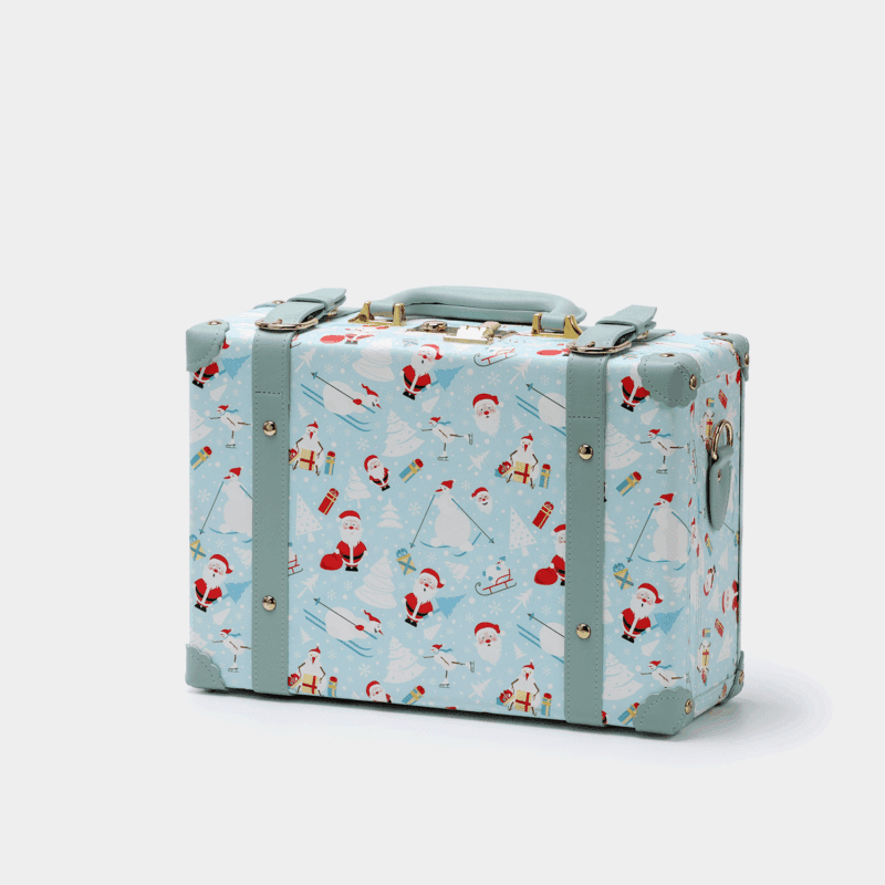 Blue Hand Carry Case