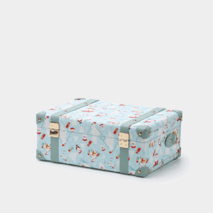 Blue Hand Carry Case