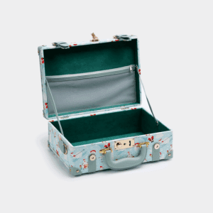 Blue Hand Carry Case