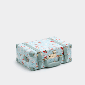 Blue Hand Carry Case