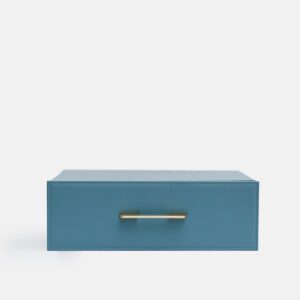 Blue Safe Case in Cabinet