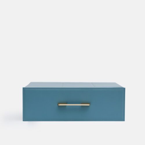 Blue Safe Case in Cabinet