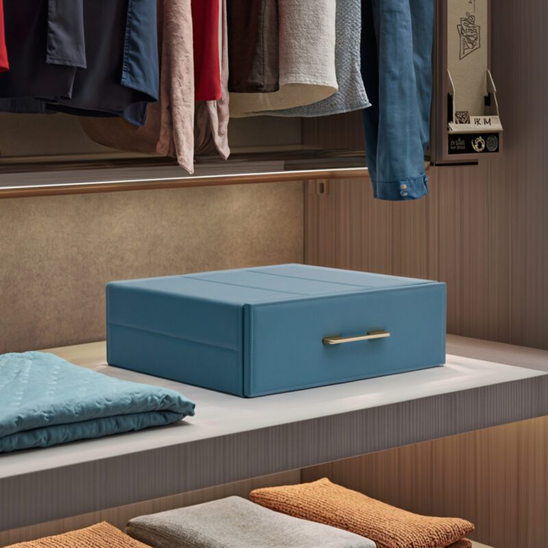 Blue Safe Case in Cabinet