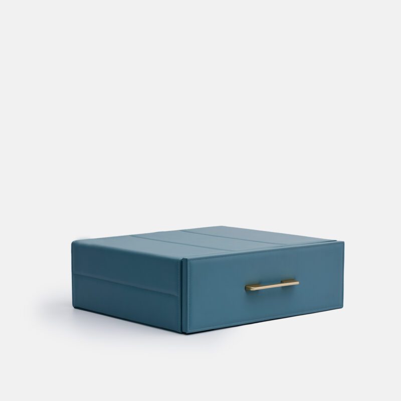 Blue Safe Case in Cabinet