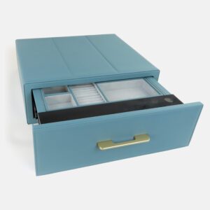 Blue Safe Case in Cabinet
