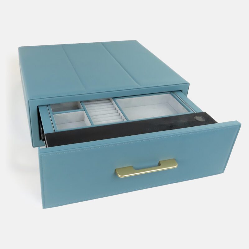 Blue Safe Case in Cabinet