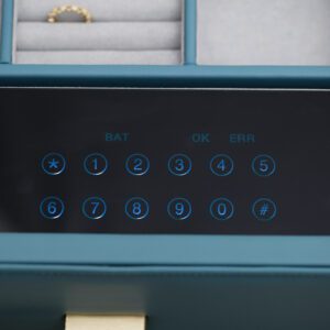 Blue Safe Case in Cabinet