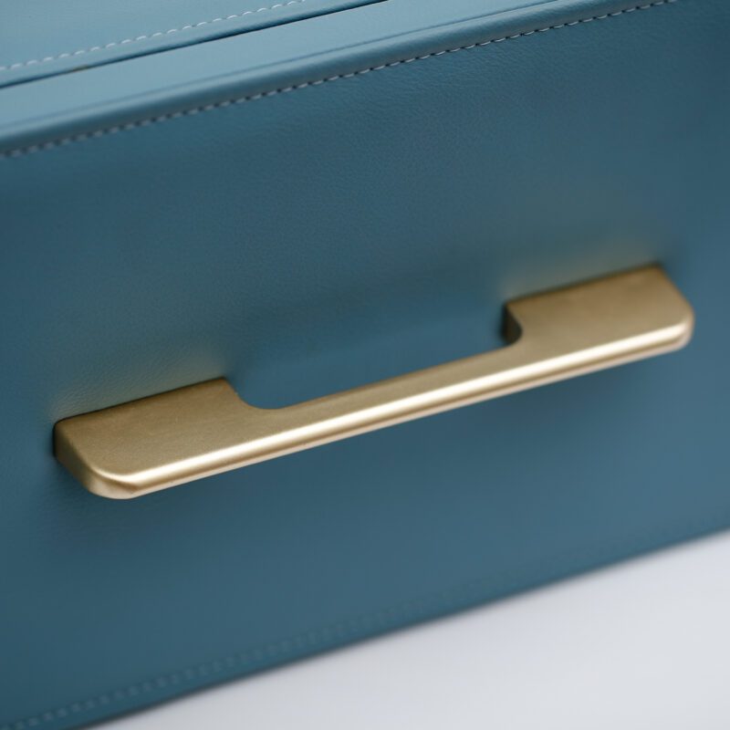Blue Safe Case in Cabinet