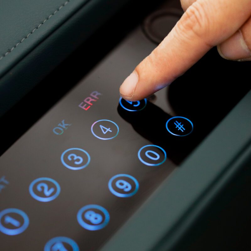 Blue Safe Case in Cabinet