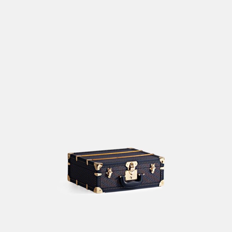 Mini Blue Hand Carry Case