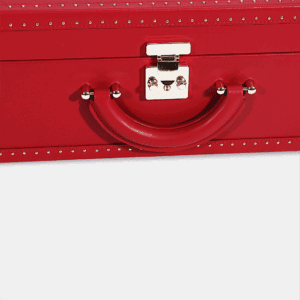 Large Red Hand Carry Case