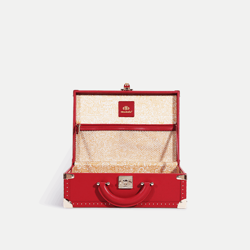 Large Red Hand Carry Case